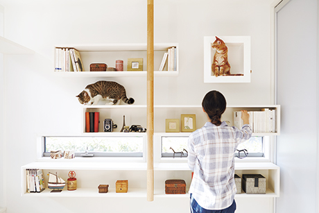 ペットと暮らす ヘーベルハウス 注文住宅の実例 くらし方 商品 ペットと暮らす ヘーベルハウス 注文住宅の実例 くらし方 商品