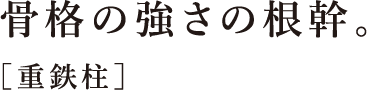 ⾻格の強さの根幹。［重鉄柱］