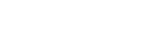 晴れた日や忙しい日には、森のSOHOへ。大好きな植物と暖かい光の中でパソコンを開く。いつも一緒にいる愛犬が側にいてくれると、心からリラックスできて仕事もはかどる。