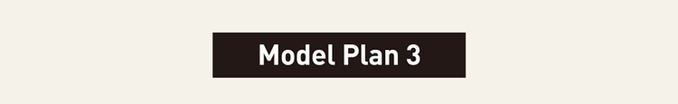Model Plan 3