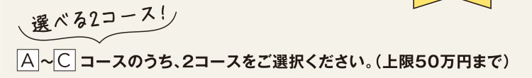 選べる2コース！ A～Cコースのうち、2コースをご選択ください。（上限50万円まで）
