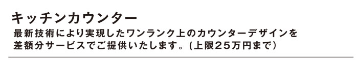 [キッチンカウンター] 最新技術により実現したワンランク上のカウンターデザインを差額分サービスでご提供いたします。 (上限25万円まで）