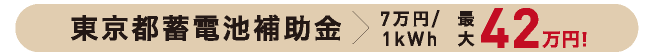 東京都蓄電池補助金|7万円/1kwh|最大42万円!