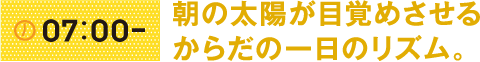 07:00- 朝の太陽が目覚めさせるからだの一日のリズム。