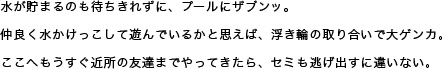 水が溜まるのも待ちきれずに、プールにザブンッ。仲良く水かけっこして遊んでいるかと思えば、水鉄砲の取り合いで大ゲンカ。ここへもうすぐ近所の友達までやってきたら、セミも逃げ出すに違いない。