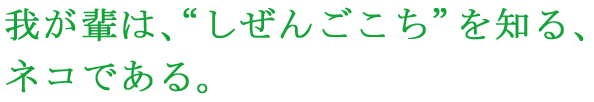 我が輩は、「しぜんごこち」を知る、ネコである。