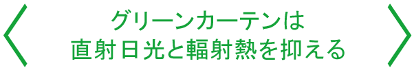 グリーンカーテンは直射日光と輻射熱を抑える