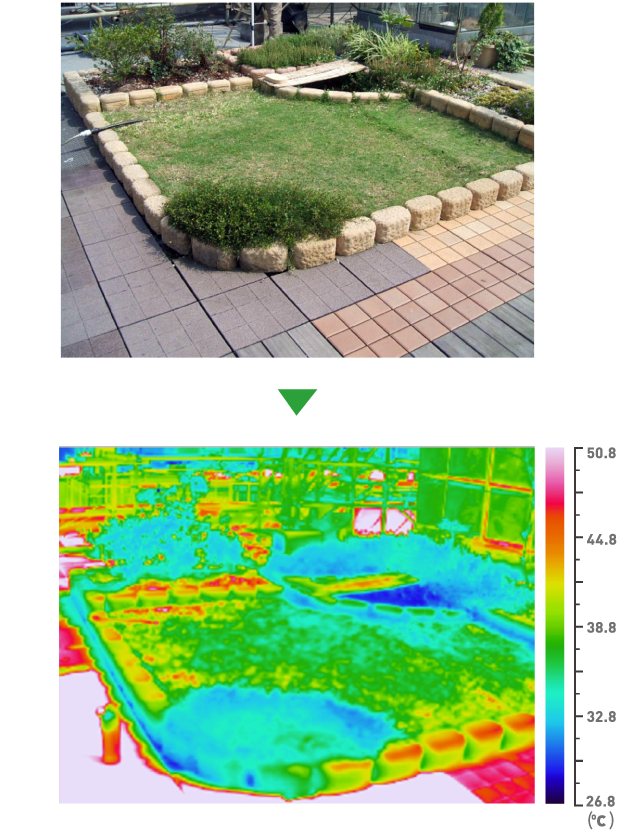 緑化時の地面温度イメージ