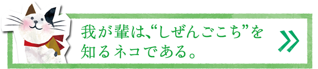 我が輩は、「しぜんごこち」を知るネコである。