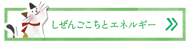 しぜんごこちとエネルギー