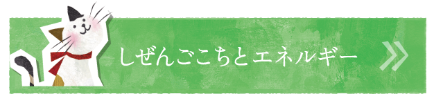 しぜんごこちとエネルギー