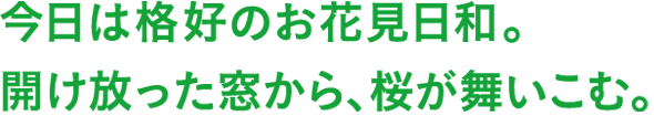 今日は格好のお花見日和。開け放った窓から、桜が舞いこむ。