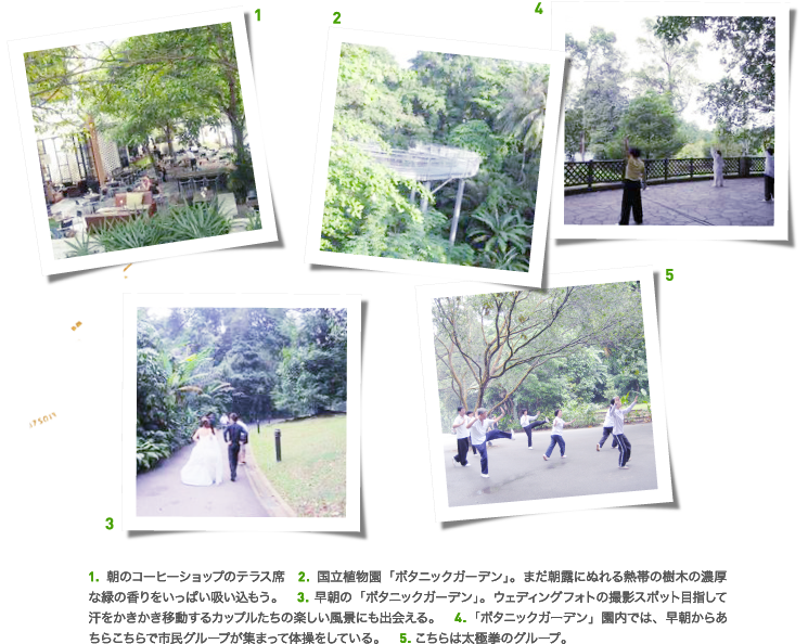 1.朝のコーヒーショップのテラス席 2.国立植物園「ボタニックガーデン」。まだ朝露にぬれる熱帯の樹木の濃厚な緑の香りをいっぱい吸い込もう。 3.早朝の「ボタニックガーデン」。ウェディングフォトの撮影スポット目指して汗をかきかき移動するカップルたちの楽しい風景にも出会える。 4.「ボタニックガーデン」園内では、早朝からあちらこちらで市民グループが集まって体操をしている。 5.こちらは太極拳のグループ。