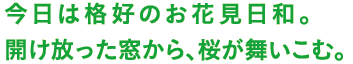 今日は格好のお花見日和。開け放った窓から、桜が舞いこむ。