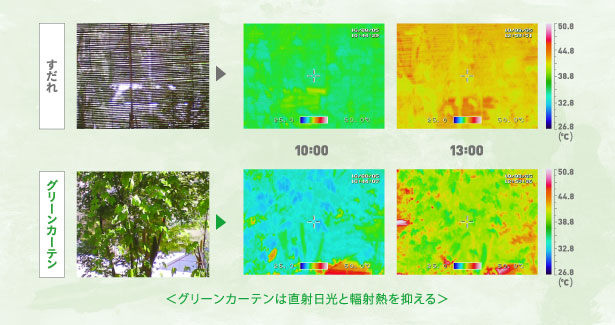 輻射熱を抑えるグリーンカーテン／すだれとグリーンカーテンの比較イメージ