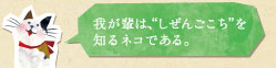 我が輩は、“しぜんごこち”を知るネコである。