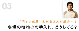 冬場の植物のお手入れ、どうしてる？