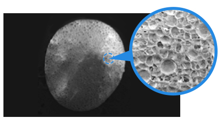 Cross-section of foam beads