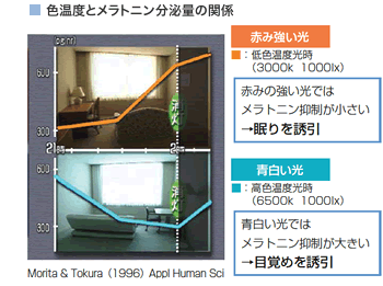 色温度とメラトニン分泌量の関係