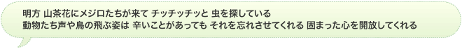 明方 山茶花にメジロたちが来て チッチッチッと 虫を探している 動物たち声や鳥の飛ぶ姿は 辛いことがあっても それを忘れさせてくれる 固まった心を開放してくれる