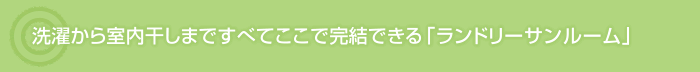 洗濯から室内干しまですべてここで完結できる「ランドリーサンルーム」