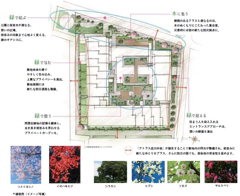 配棟計画