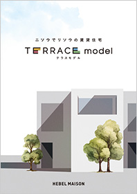 TERRACE model（テラスモデル）