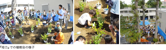 『母力』での植樹会の様子