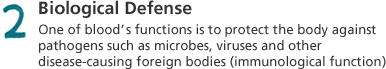 2. Biological defense: One of blood’s functions is to protect the body against pathogens such as microbes, viruses and other disease-causing foreign bodies (immunological function)