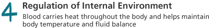 4. Regulation of internal environment: Blood carries heat throughout the body and helps maintain body temperature and fluid balance.