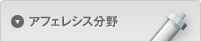 アフェレシス分野