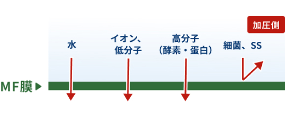 MF（Microfiltration、精密ろ過）