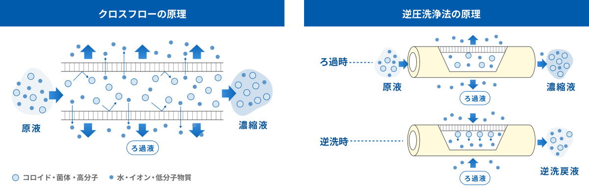 中空糸膜のろ過原理