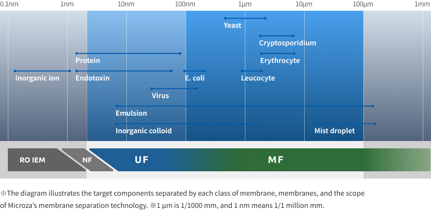 What is membrane filtration?