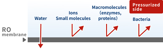 Separation by the pressure difference Reverse osmosis (RO)