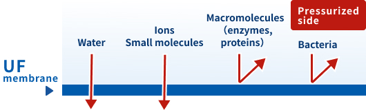 Ultrafiltration (UF)