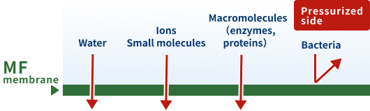 Microfiltration (MF)