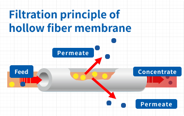 What is membrane separation? 