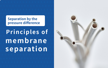 Principles of membrane separation