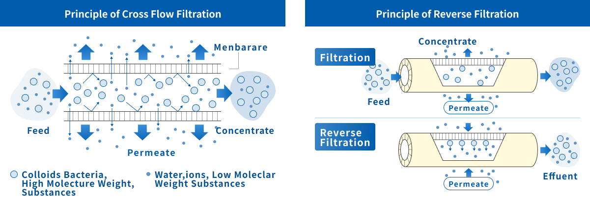 Principle of Hollow Fiber Membrane Separation