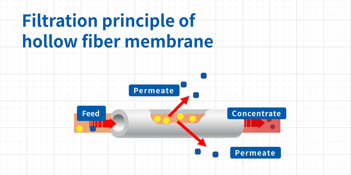 What Is Membrane Separation