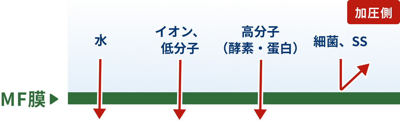 MF (Microfiltration) Membrane Image Diagram