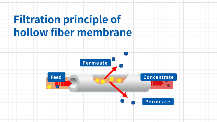 What Is Membrane Separation