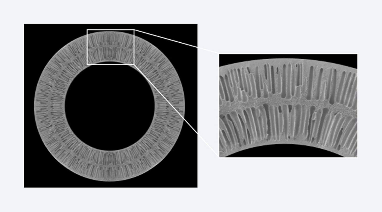 Illustration of Microza® Double-Skin Structure