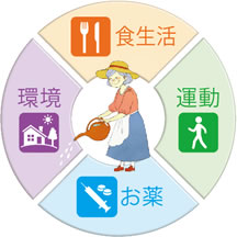 食生活 運動 お薬 環境