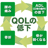 QOLの低下 腰の痛み ADL(日常の動作)の低下 骨が弱くなる 骨折