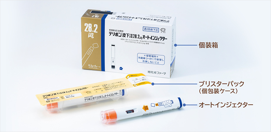 テリボン皮下注用　発売1周年記念　患者説明用　椎体・大腿骨模型 テリボン皮下注用 発売1周年記念 患者説明用 椎体・大腿骨模型