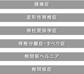 腰痛症/変形性脊椎症/脊柱管狭窄症/脊椎分離症・すべり症/椎間板ヘルニア/椎間板症
