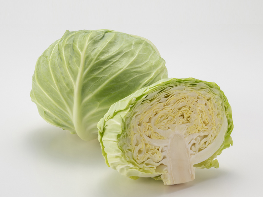 キャベツ～野菜の保存や冷凍方法