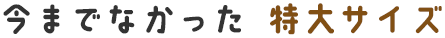 今までなかった特大サイズ